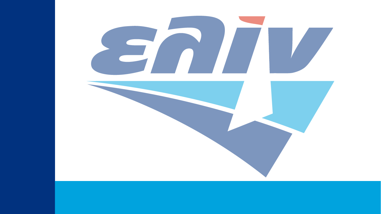 elin screen.jpg